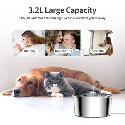 Premium Stainless Steel Cat Water Fountain with Filter | Quiet Automatic Pet Water Dispenser | Ateliove